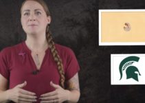 níveis de oxigênio carbonífero
