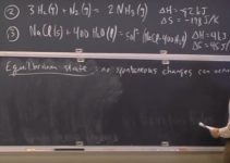 Energia de Gibbs – aula no MIT