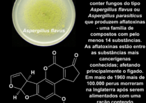 Aflatoxina B1 e Ferroceno