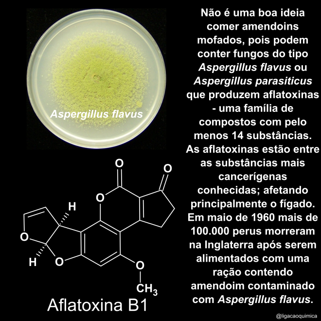 informações sobre as aflatoxinas