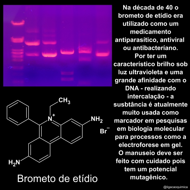 usado em laboratório de genética