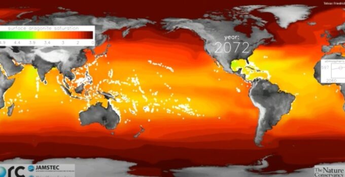 Novo estudo científico sugere taxa de acidificação dos oceanos sem paralelo nos últimos 300 milhões de anos.