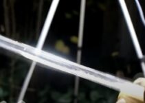 Transformações do CO₂: Do gelo seco ao estado supercrítico