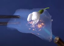Aerogel – do isolamento térmico ao espaço sideral
